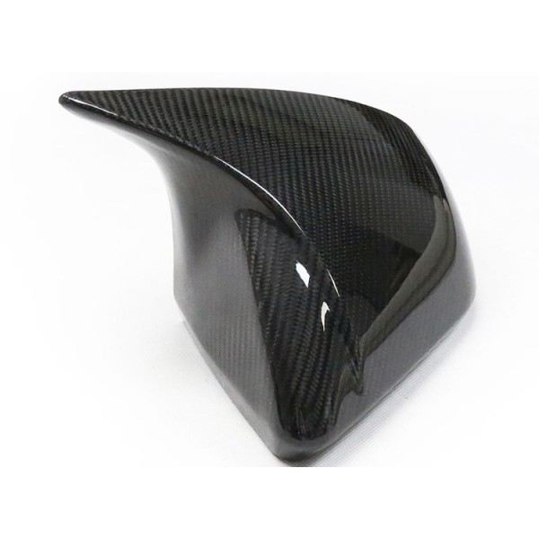 Carbon Fiber Mirror Covers - Ford Mustang