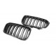 Carbon grille - BMW [SERIE 1]