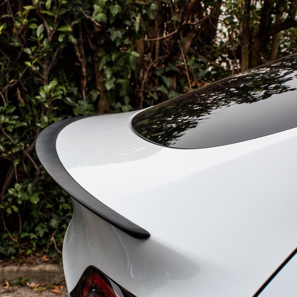 Tesloid Tesla Model Y Carbon Fiber Performance Spoiler - save 10