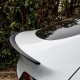 Carbon Performance Spoiler - TESLA Model Y