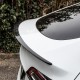 Carbon Performance Spoiler - TESLA Model Y