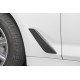 Seiteneinsatz Carbon - BMW G30 G31 G38