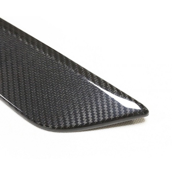 Seiteneinsatz Carbon - BMW G30 G31 G38