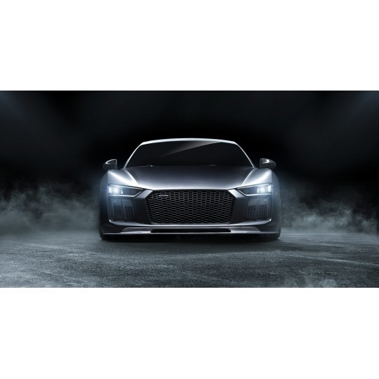 Carbon Front Blade [VRS] - AUDI R8