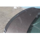 copy of Spoiler - MINI Clubman R55