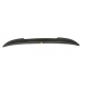 copy of Spoiler - MINI Clubman R55